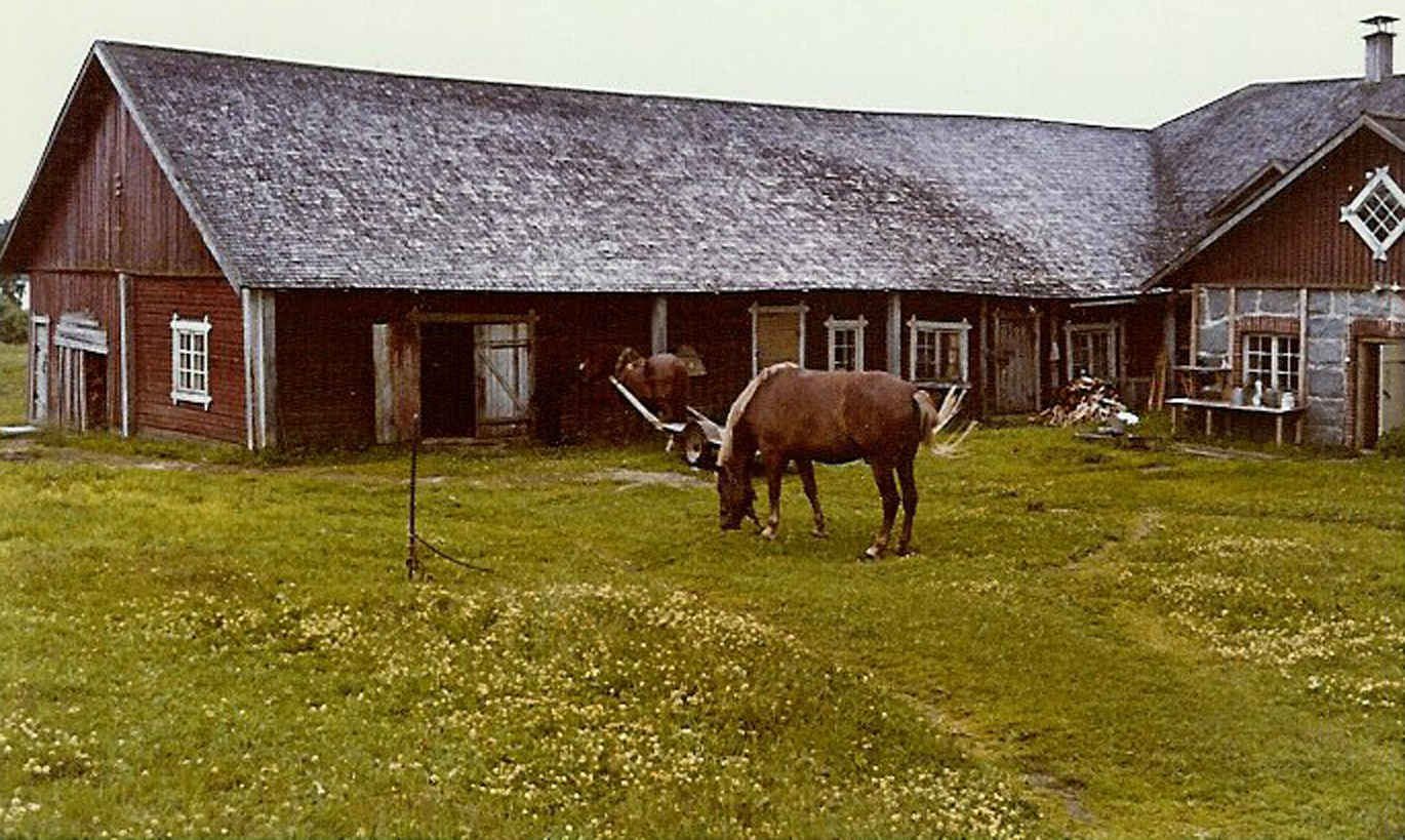 Hevonen ja taustalla matala suuri punainen maatalousrakennus.