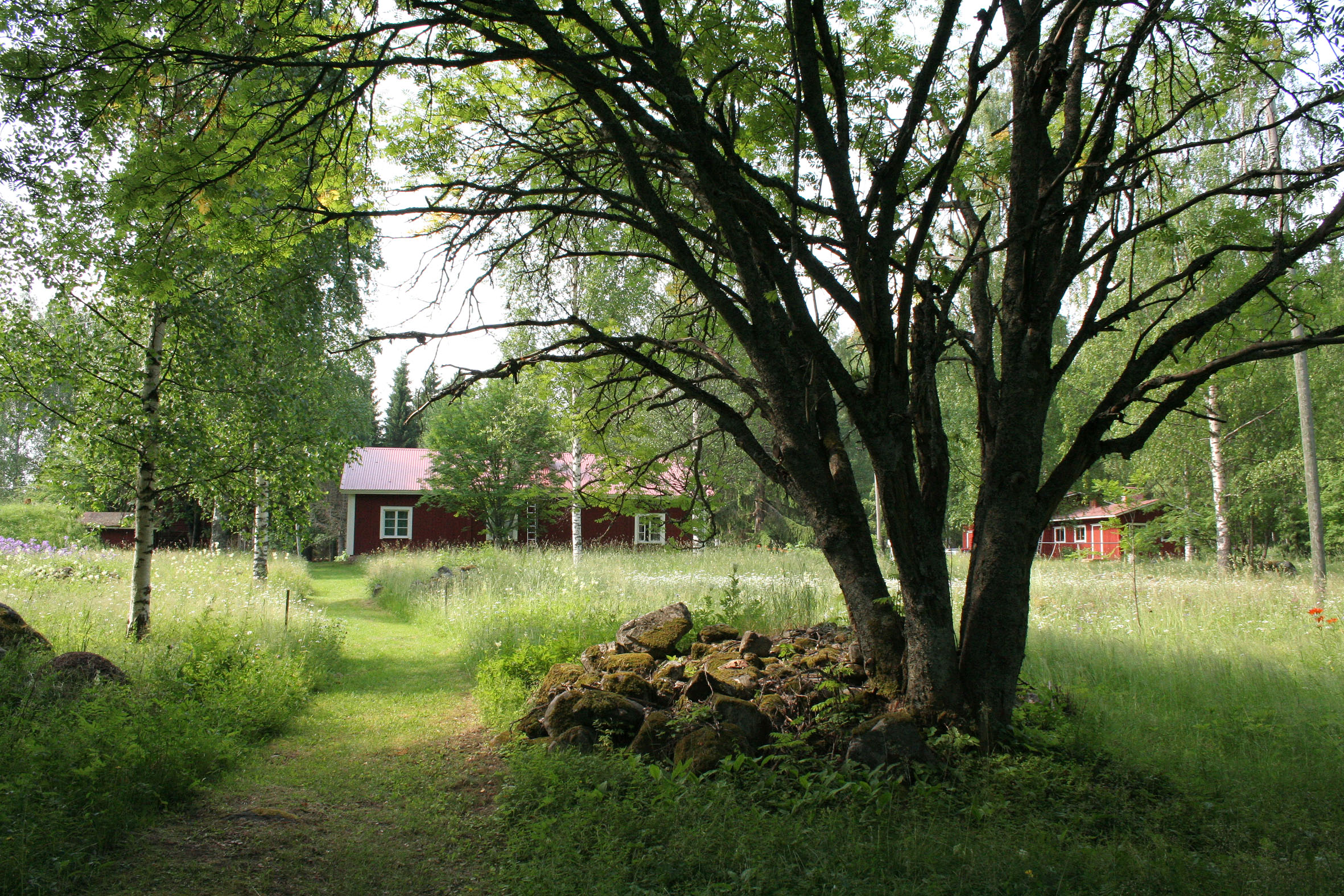 Vanha pihatie, vasemmalla puu, jonka juurella kivikasa, taustalla punaisia rakennuksia.